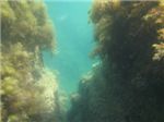 Поход между двумя подводными скалами

