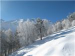Мечта каждого сноу-любителя! Синее небо, деревья в инее и ЦЕЛИНА! Вид с однокреселки Чегета на Кавказские горы.
