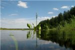 Рядом с деревней Ёлкино есть прелестное тихое озеро с прозрачной водой
