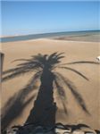 Тень от любимой пальмы на пляже ubastation
