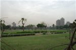 Поле для гольфа в центре Каира
