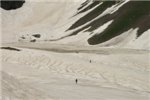 Одинокие странники на заснеженно-пустынном берегу озера Мзы