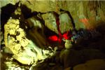 Один из залов Новоафонской пещеры.