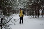 Сашка прокладывает лыжню через наконец-таки заснеженный лес