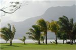 А это - территория отеля Paradis. Как и положено по всем канонам райского местечка, на берегу должны расти пальмы.