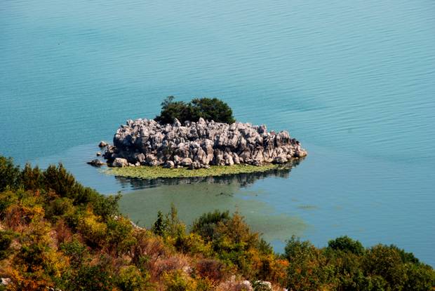 Остров на Скадарском озере