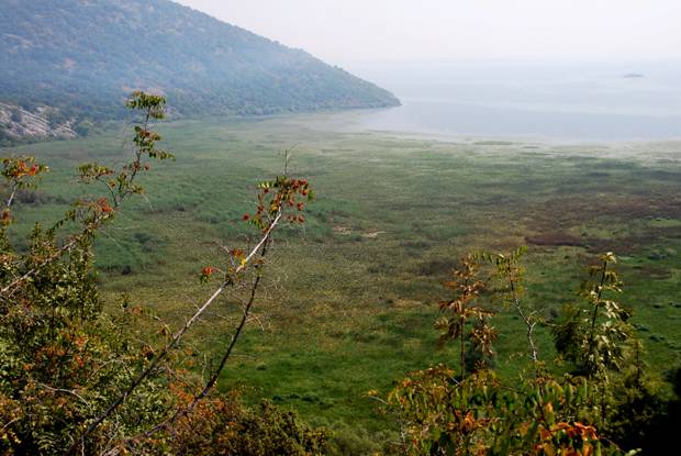 Вид на заболоченную часть Скадарского озера