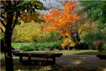 На этой скамеечке мне не довелось посидеть, т.к. она в Японском саду, в котором я так и не была...