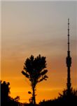Останкинская башня в лучах заходящего солнца

