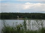 Озеро в Березовке

