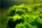 Подводные горы в карьере в Анфалово