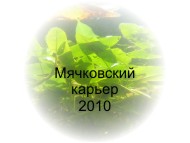 Подводный мир Мячковского карьера 2010