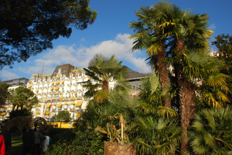 Grand Hotel Swiss с пальмами